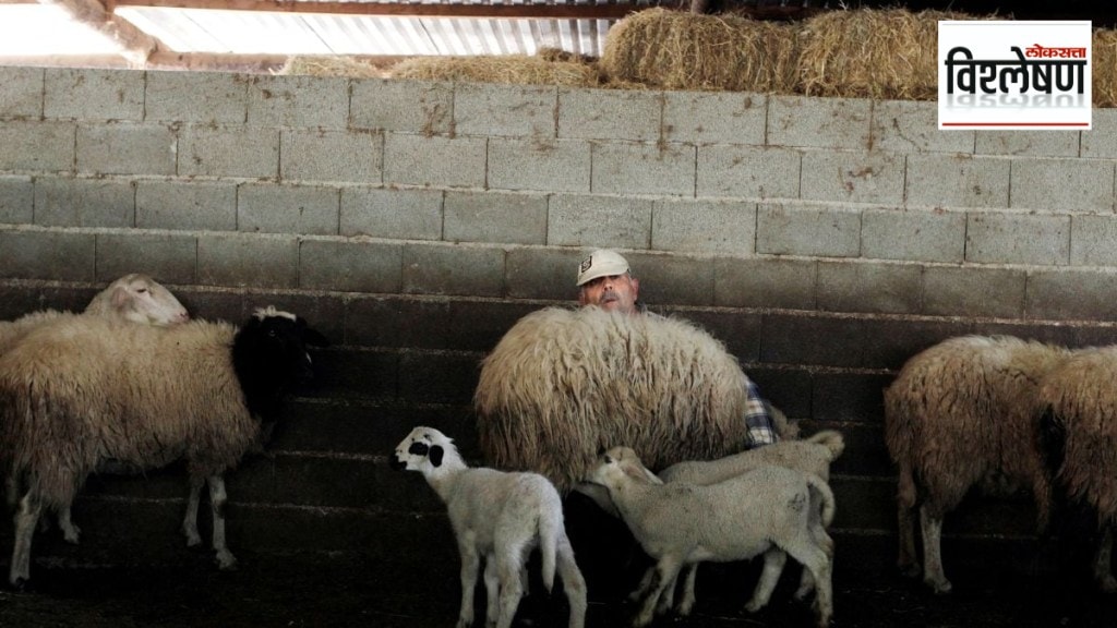 goat plague Greece ban the movement of livestock sheep and goats