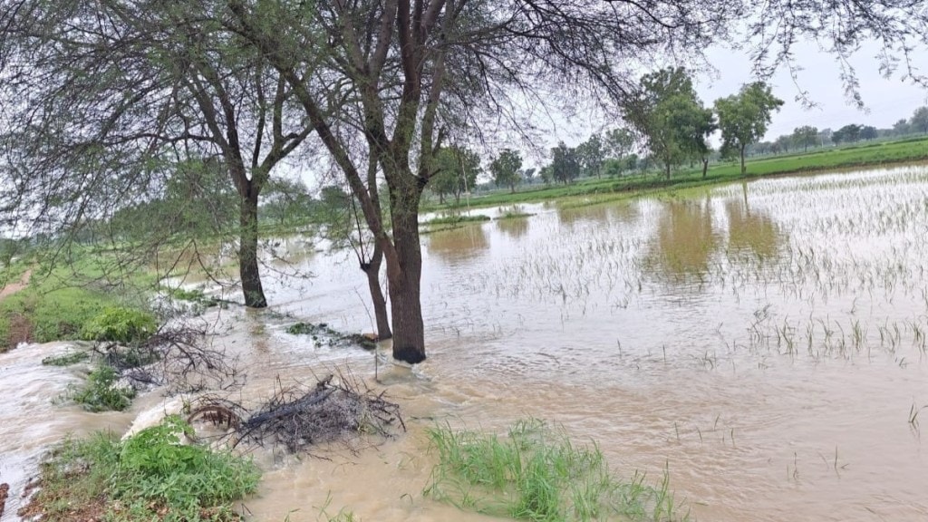 left canal of gosikhurd dam burst