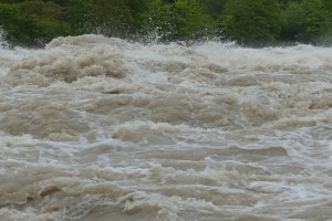 flood, Kolhapur, water, almatti dam,