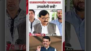 Shivsena UBT Leader Sanjay Raut criticizes Deputy Chief Minister Devendra Fadnavis