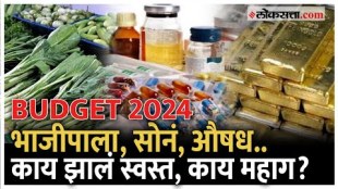 What is cheap what is expensive How will the budget affect the pocket Union Budget 2024 Explained