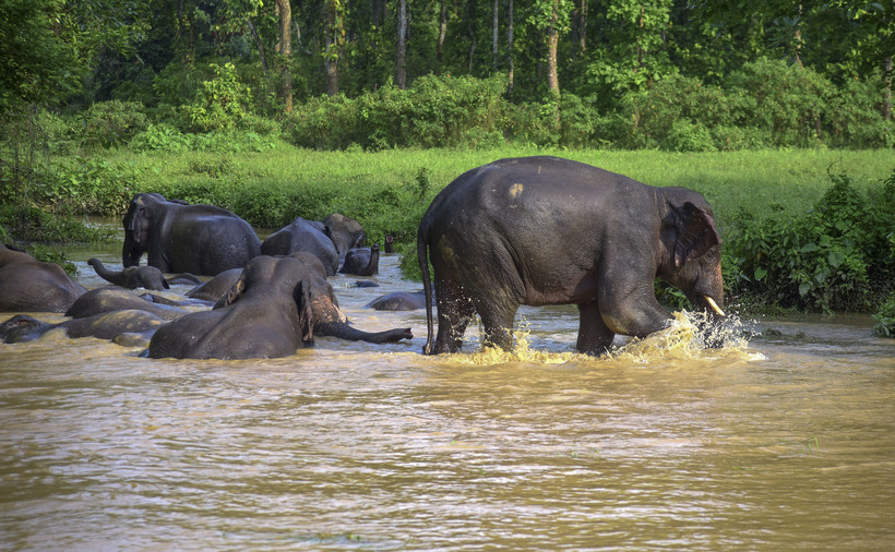 assam, floods, northeast india, landslides, assam live update, northeast india weather report, indian express