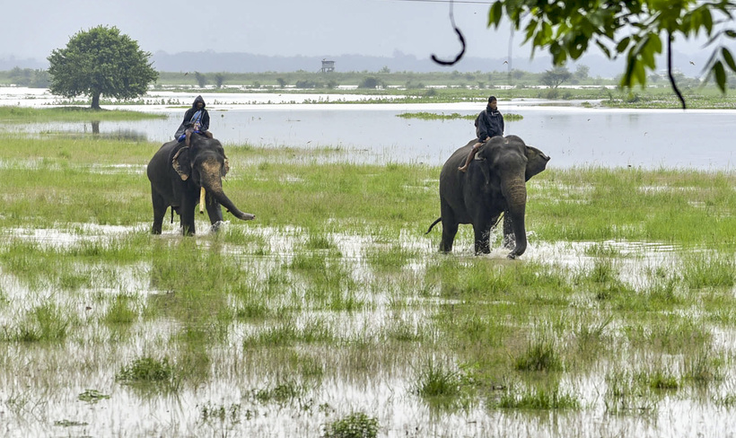 assam, floods, northeast india, landslides, assam live update, northeast india weather report, indian express