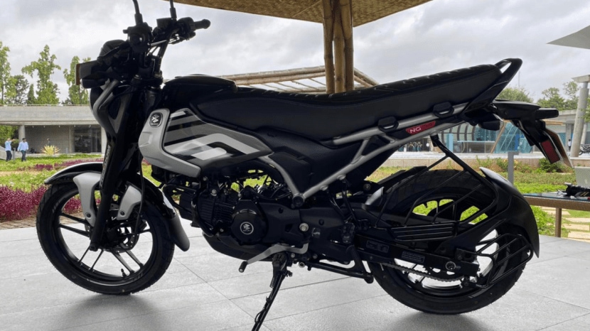 Bajaj Freedom 125 CNG bike (Image: Express Drives)