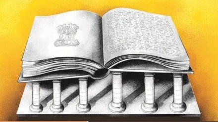 indian constitution