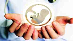 IVF, infertility, artificial insemination, Aditya Birla Memorial Hospital, Oasis Fertility, World IVF Day, technology advancements, success rate, assisted hatching, embryoscope, gametes activation, microfluids, pre genetic testing, pune news, latest news, loksatta news,