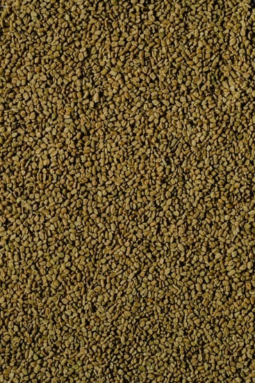 Fenugreek