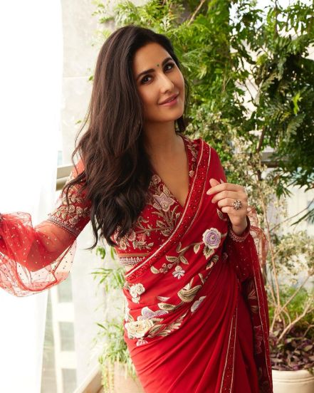 katrina kaif vicky kaushal education qualification 