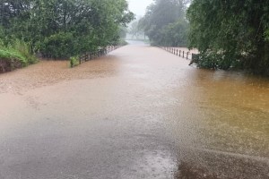 transport system in kolhapur district affected due to heavy rain