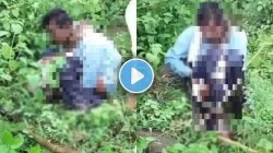 शौचास बसलेल्या व्यक्तीच्या शरीराला भलामोठ्या अजगराचा विळखा अन् गिळणार तितक्यात…; जंगलातील धडकी भरविणारा Video Viral