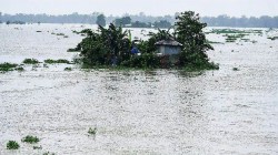 मोसमी पाऊस संपूर्ण देशात, आसाममध्ये पूरस्थिती; गुजरातच्या अनेक गावांचा संपर्क तुटला