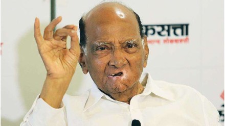 sharad pawar criticized on government schemes over implementation