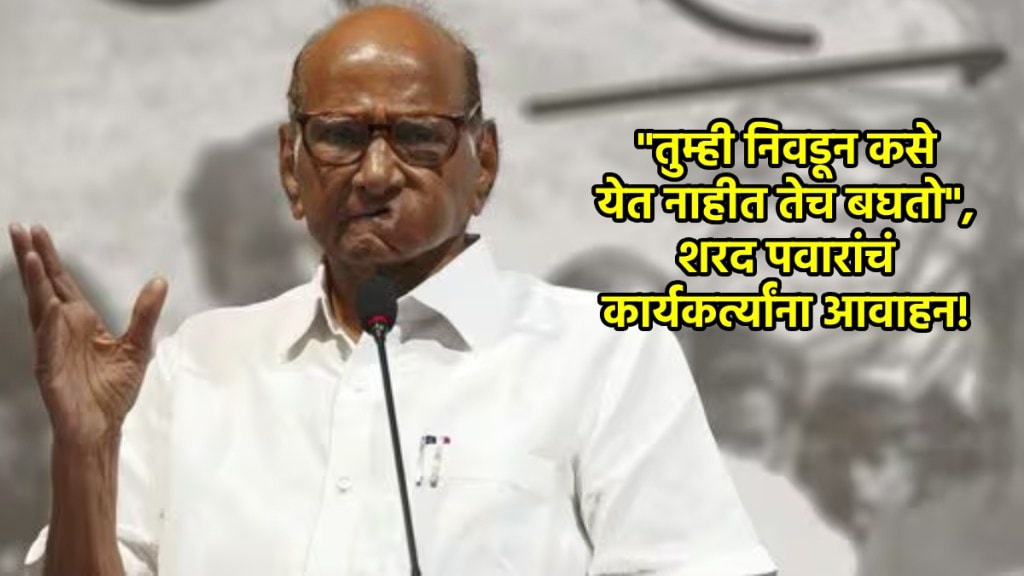 sharad pawar in satara