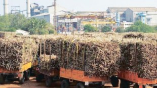 mahayuti stop loan sanctioned by centre to two sugar factories for not support in elections