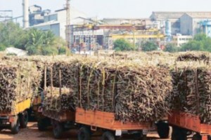mahayuti stop loan sanctioned by centre to two sugar factories for not support in elections