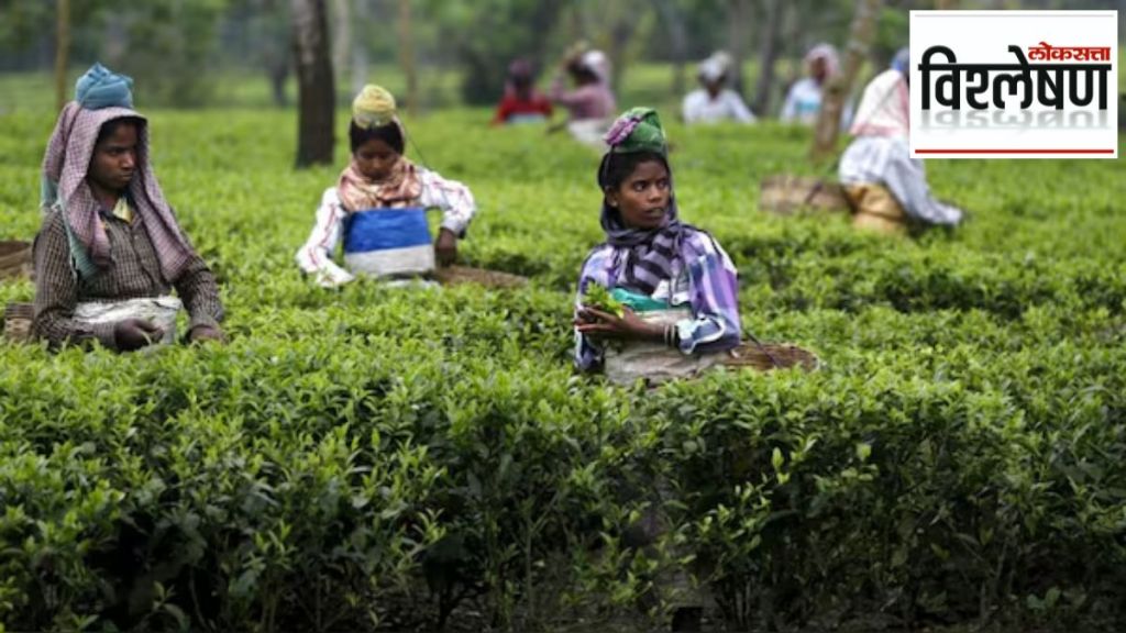 tea cost hike