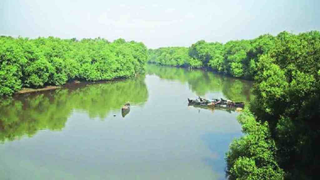 thane, Kolshet Bay Filling Case, Encroachment on Mangroves in Balkum, Encroachment on Mangroves in Kolshet, Forest Minister Sudhir mungantiwar, officials are in a round of inquiry, thane news