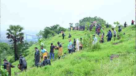 Panvel, 1000 Trees Planted by Shri Members, 1000 Trees Planted by Shri Members in panvel, Nature Conservation Drive, Pale Budruk Village, Annual Nature Conservation Drive, loksatta news,