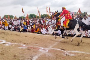 Horse arena in Tukoba palanquin ceremony Pune print news