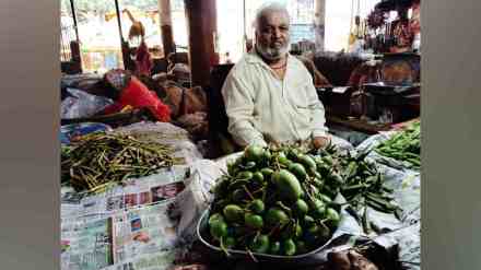 wild vegetable,