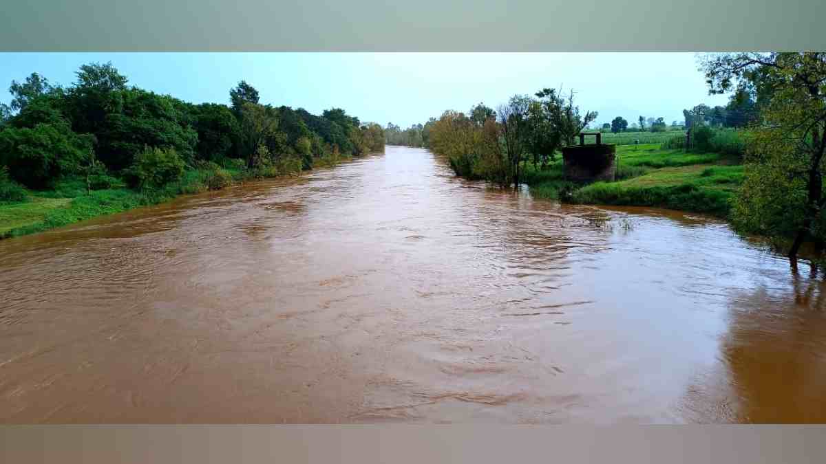 सांगली : पावसाचे पुनरागमन, वारणा दुथडी भरून वाहिली; चांदोली धरणात ४६ ...