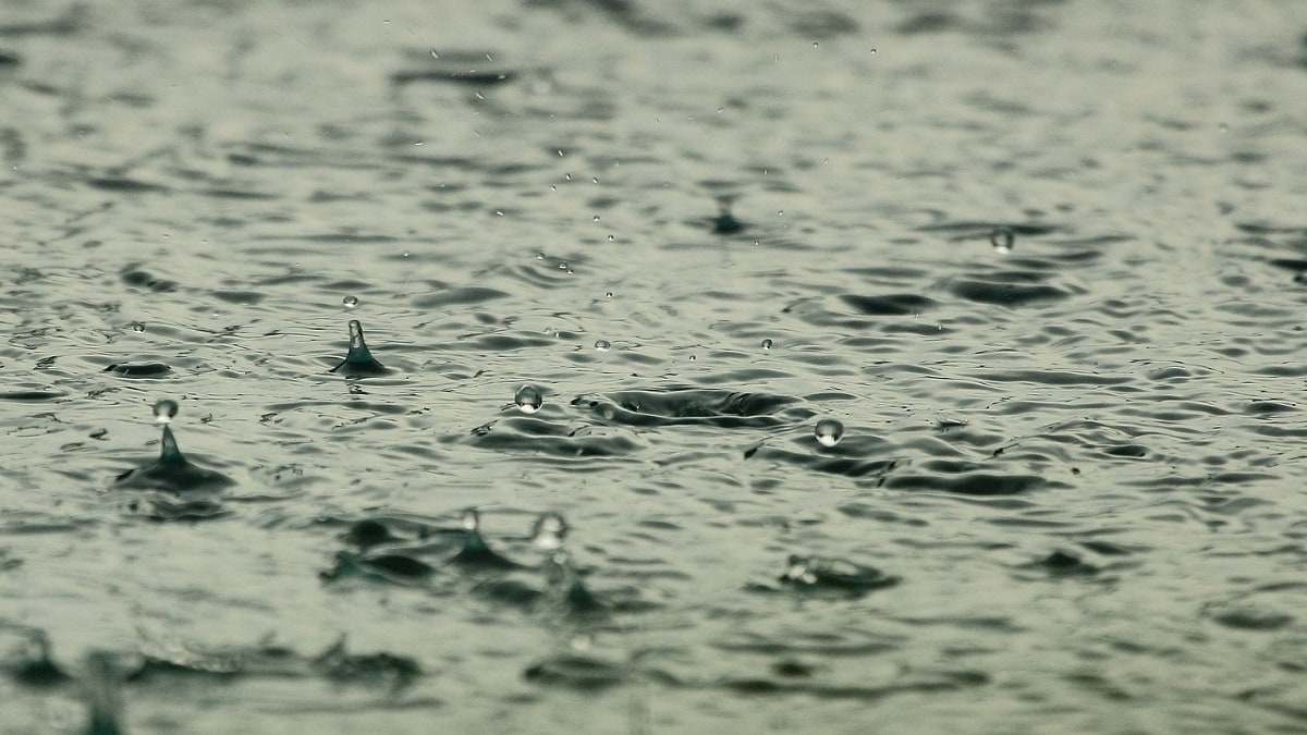 Koyna, water, Satara, rain, Western Ghats,
