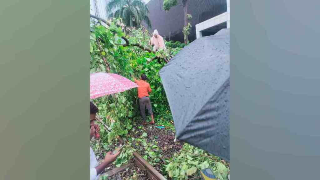 Western Railway, Western Railway Services Disrupted, Fallen Tree Between on track Prabhadevi and Dadar, Operations Resume After an Hour, Western Railway Services Disrupted due to fallen tree, Western Railway news, Mumbai news,