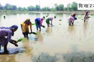 necessary to take different measures for the welfare of women farmers