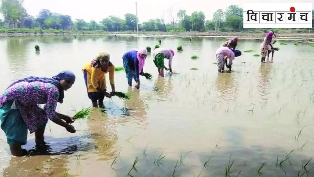 necessary to take different measures for the welfare of women farmers