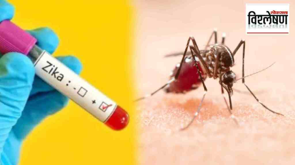 Winter Fever, Dengue, Winter Fever and Dengue Surge in Maharashtra, Winter Fever cases surge in Maharashtra, Dengue Surge in Maharashtra, Monsoon, Zika Cases Raise in Maharashtra, Zika virus, Maharashtra health system,