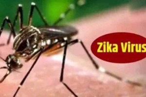 another pregnant woman infected with zika virus in erandwane area