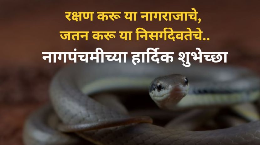 Nag Panchami 2024 2024 Wishes in Marathi| Nag Panchami 2024 2024 Best Messages Quotes Wishes in Marathi| Nag Panchami 2024 2024 Wishes in Marathi