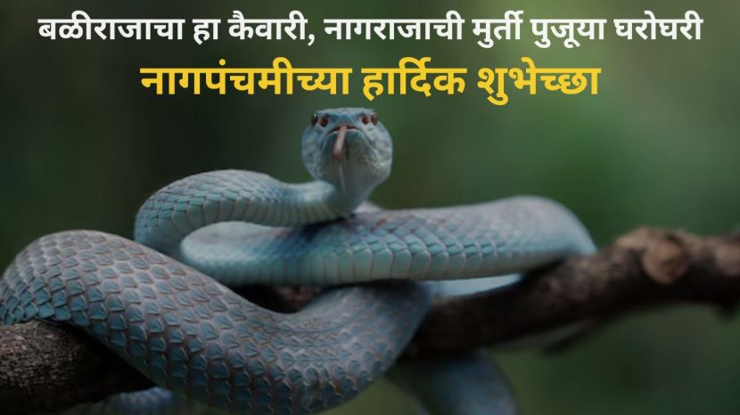 Nag Panchami 2024 2024 Wishes in Marathi| Nag Panchami 2024 2024 Best Messages Quotes Wishes in Marathi| Nag Panchami 2024 2024 Wishes in Marathi