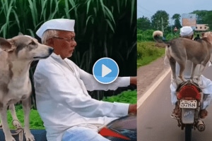 Appacha vishay lay hard hai Viral Video elderly man swag video with dog on bike