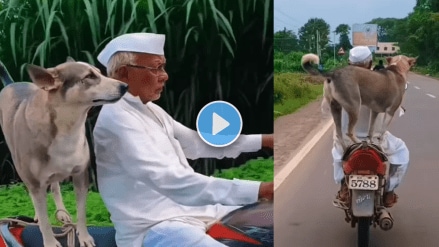 Appacha vishay lay hard hai Viral Video elderly man swag video with dog on bike