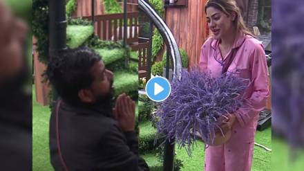 Bigg Boss Marathi Season 5 Dhananjay powar wish to nikki tamboli for her birthday