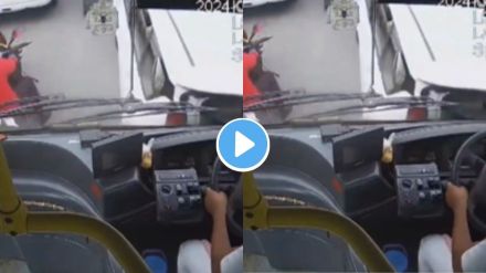 Bus Accident Video