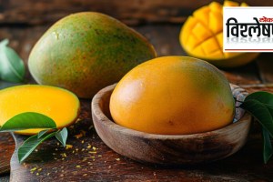 How did Indian mango reach China and Pakistan?; India and China face off over mangoes