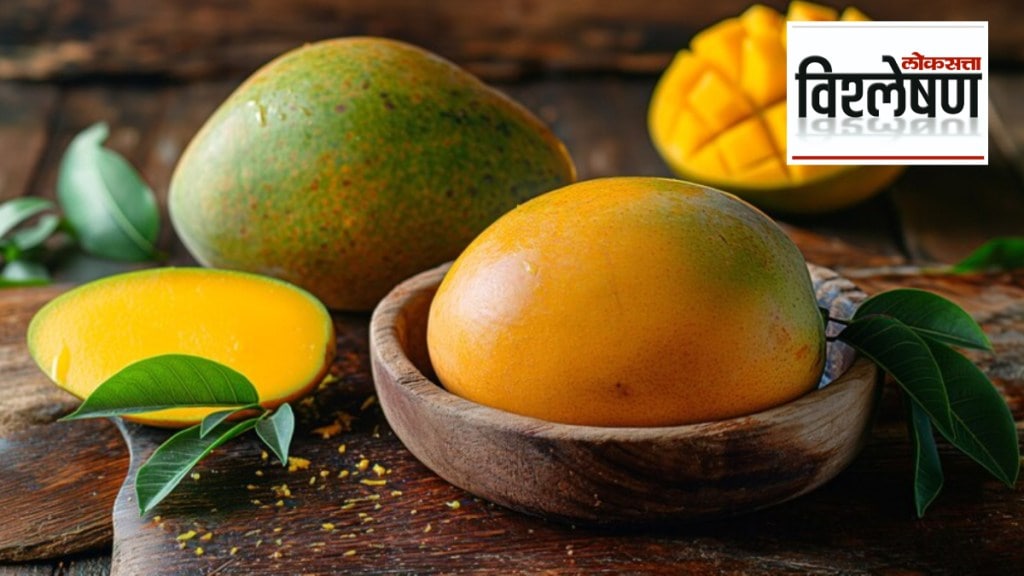 How did Indian mango reach China and Pakistan?; India and China face off over mangoes