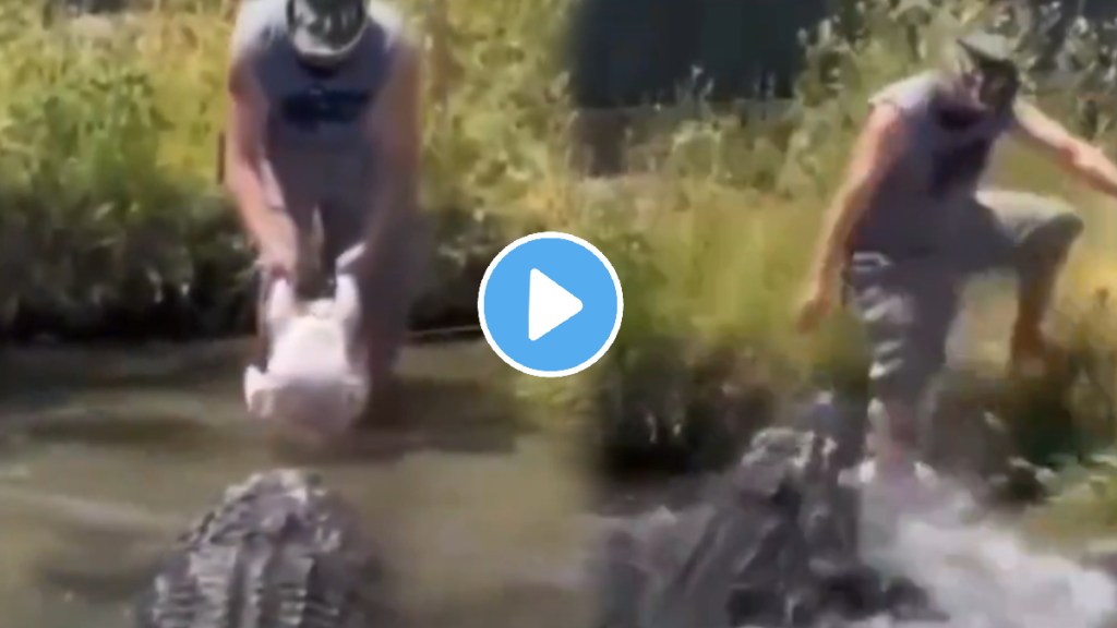 Pet crocodile attacked the owner who came to feed him video goes viral