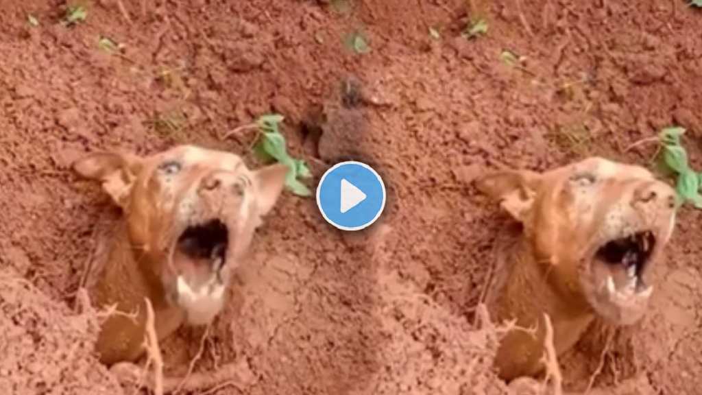 kerala Heartbreaking Video Viral After Wayanad Landslide