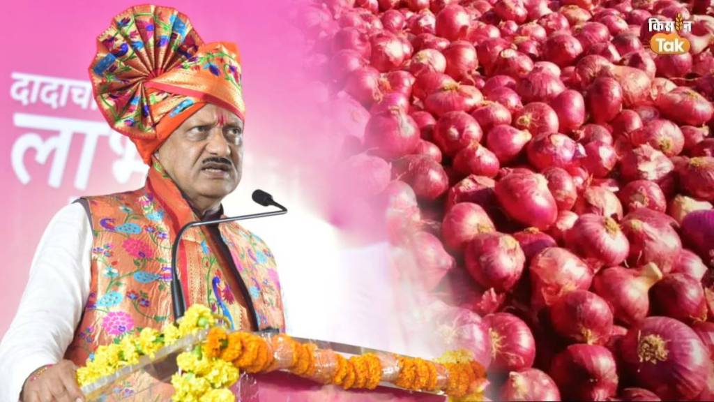 Ajit Pawar Apologizes Onion Farmers