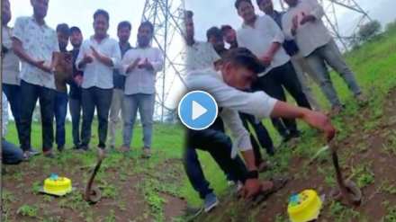 youths celebrate the birthday of a live snake