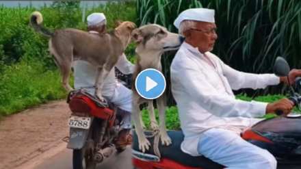 elderly man with a double seat with the dog