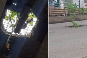 pothole, Taloja flyover, Panvel, Taloja flyover news,