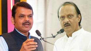 What Devendra Fadnavis Said About Ajit Pawar?