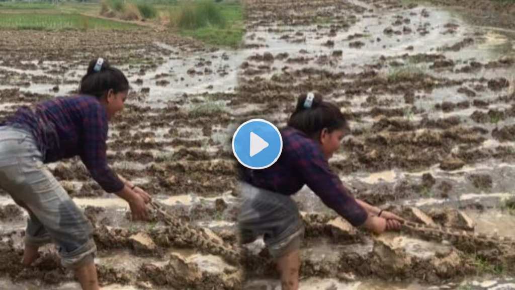 Viral Video A young woman is trying a python