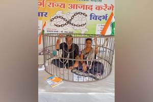 hunger strike for Vidarbha, politics Vidarbha,