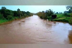 akole heavy rainfall marathi news