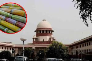 Sugarcane, Delhi High Court, Supreme Court,